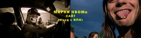 индика Абаза