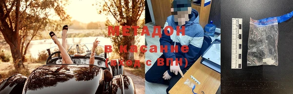 индика Абаза